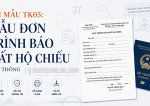 tải mẫu tk05 đơn trình báo mất hộ chiếu