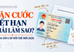 căn cước hết hạn phải làm sao